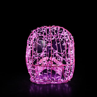 Skull Pink