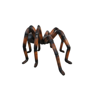 Copper Web Spider