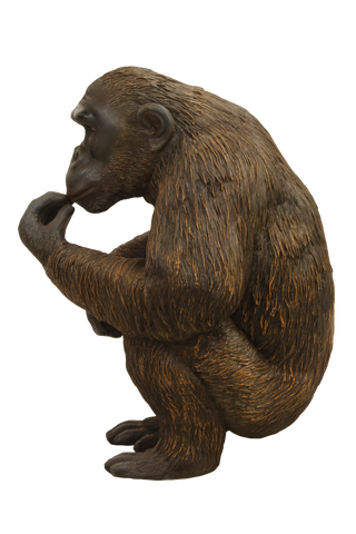 Eating Chimpanzee