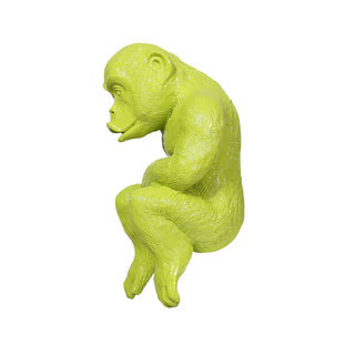 Young Gorilla