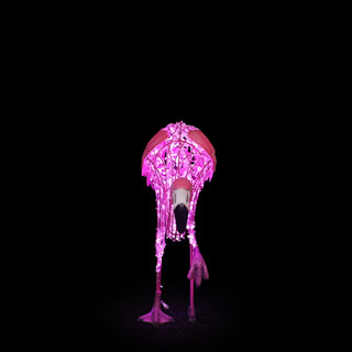 Flamingio Standing On One Leg