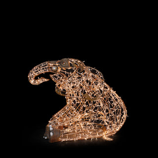 Paddy Elephant