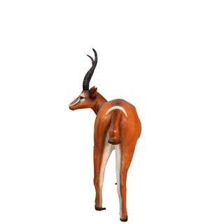 Gazelle