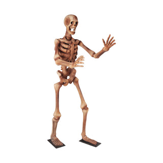 Skeleton 180 "Arms out"