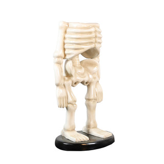 Skeleton Body