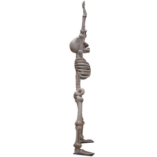 Skeleton 3,5m "Happy"