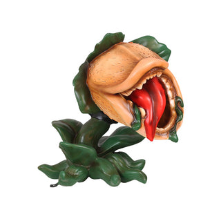 Carnivore Plant