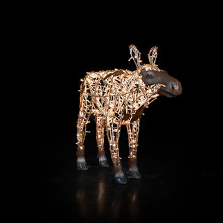 Moose Jr.