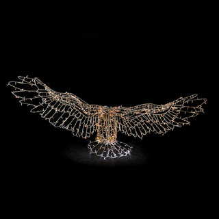 Eagle Flying
