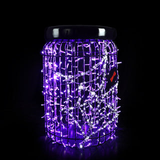 Jar Spider
