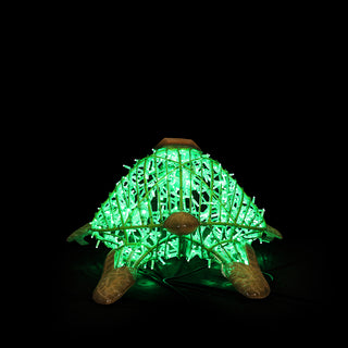 Turtle Standing