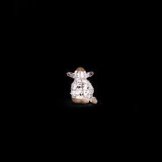Nativity Baby Sheep