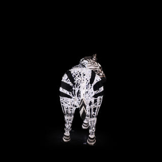 Zebra Baby