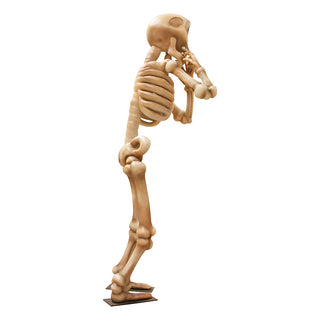 SKELETON "HNE"