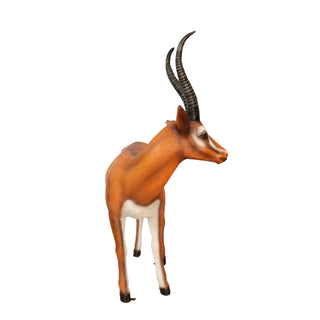 Gazelle