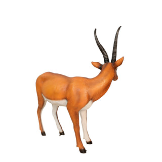 Gazelle