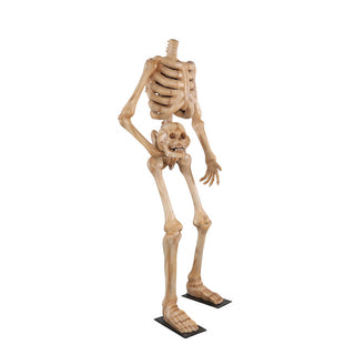Skeleton 180 "headless"