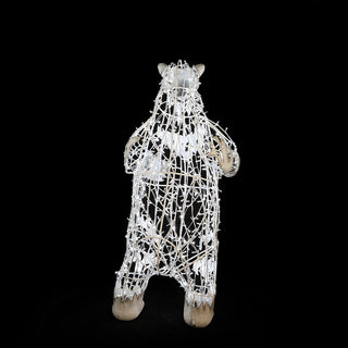 Polar Bear Paps