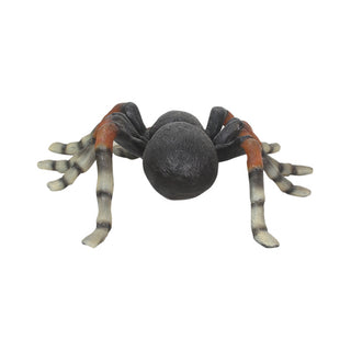 Web Spinner