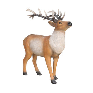 Walking Stag