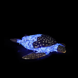 Turtle Swimming