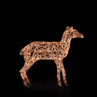 Deer Fawn Standing