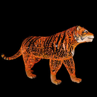 Tiger Walking