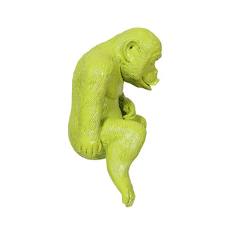 Young Gorilla